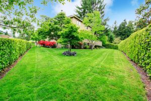 New Orleans Landscape installation Services