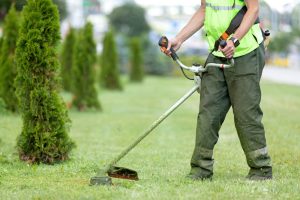 landscape maintenance
