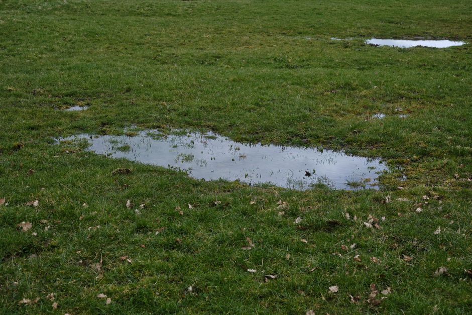 Standing water in yard creating mosquito breeding grounds