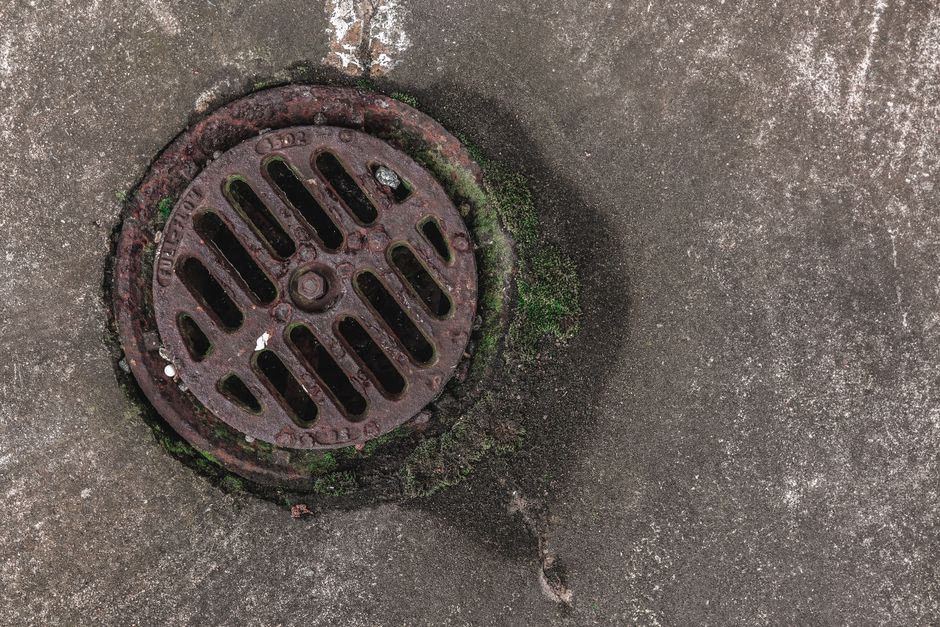 Catch basin grate protecting New Orleans yard from standing water
