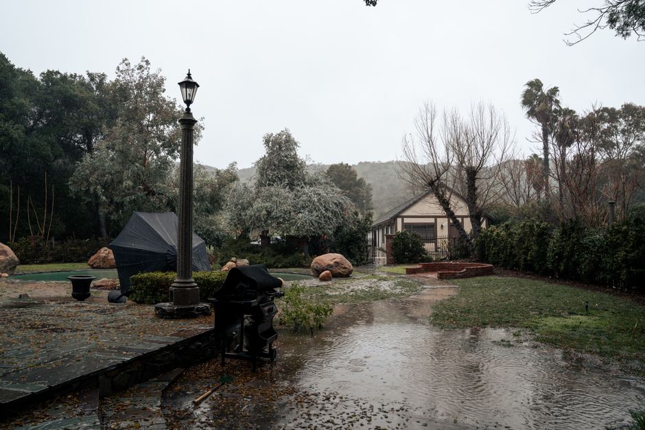 Standing water in New Orleans yard needing catch basin drainage