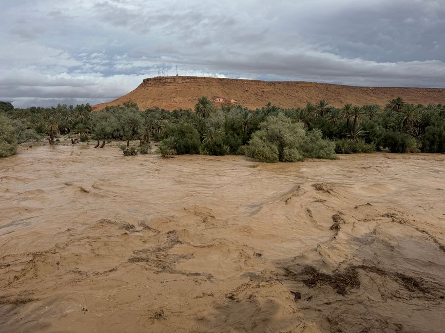 Soil erosion from uncontrolled water runoff in yard