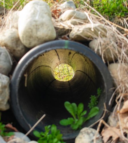 Landscape Drainage
