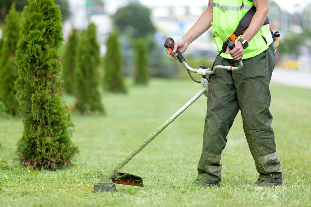 Landscape Maintenance