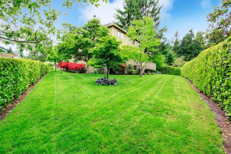 Landscape Maintenance